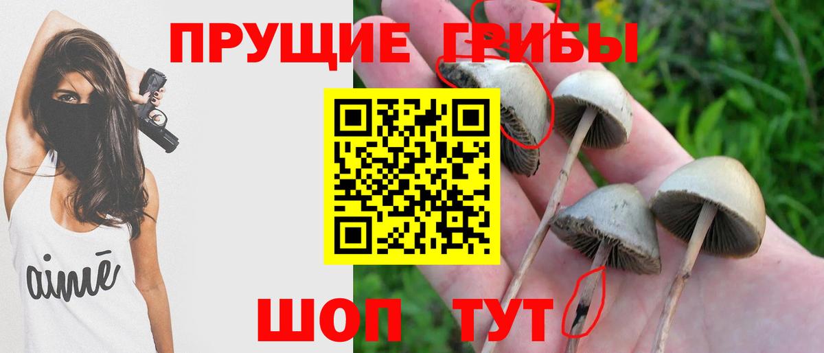 Галлюциногенные грибы MAGIC MUSHROOMS Пыть-Ях
